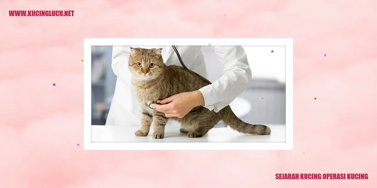 Sejarah Kucing Operasi Kucing