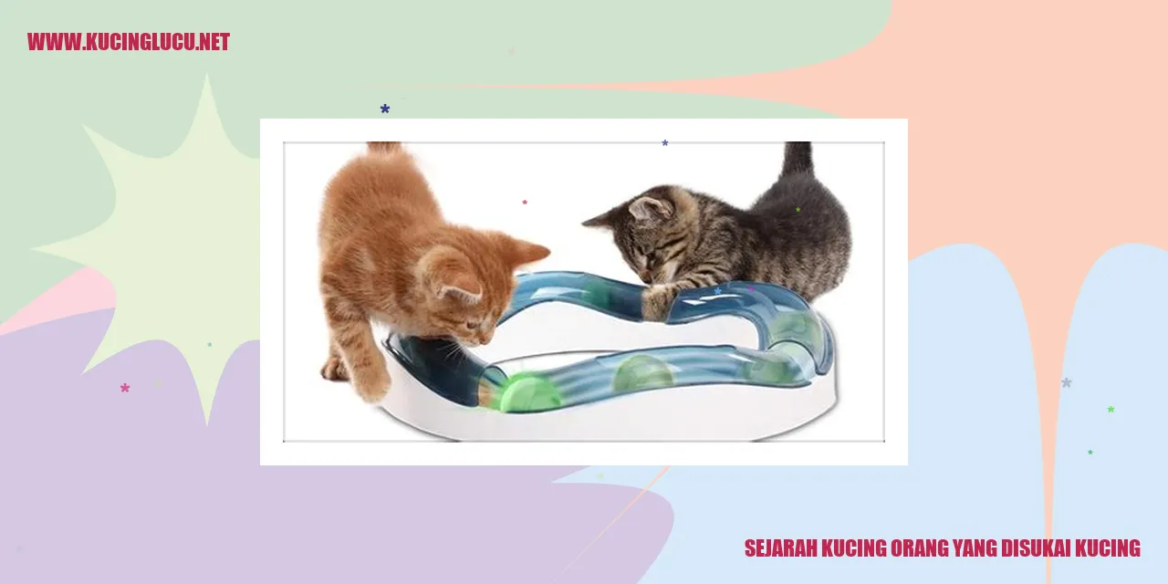 Gambar kucing yang menggemaskan