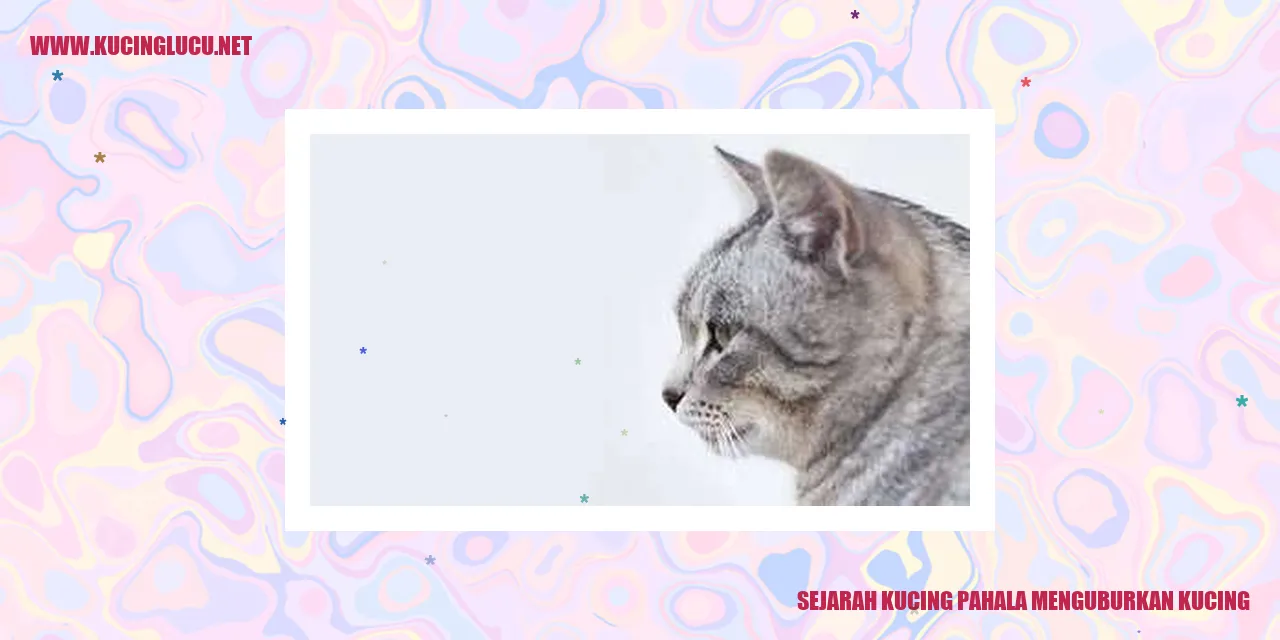 Sejarah Kucing Pahala Menguburkan Kucing