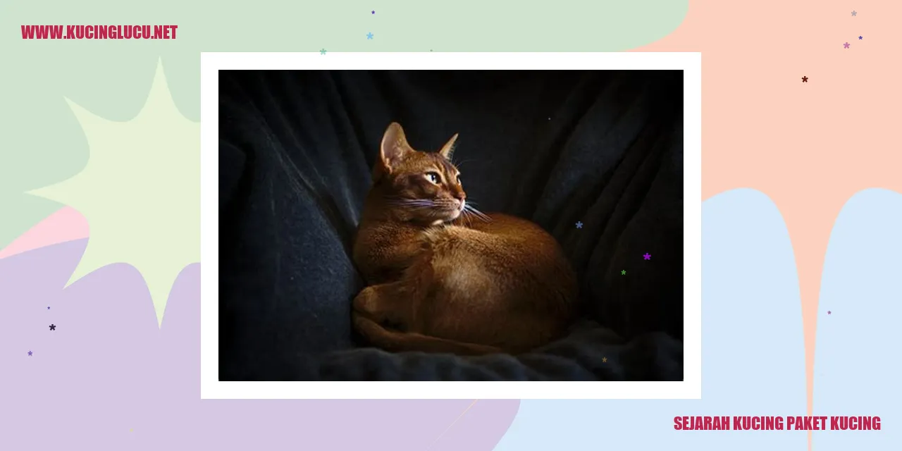 Kucing