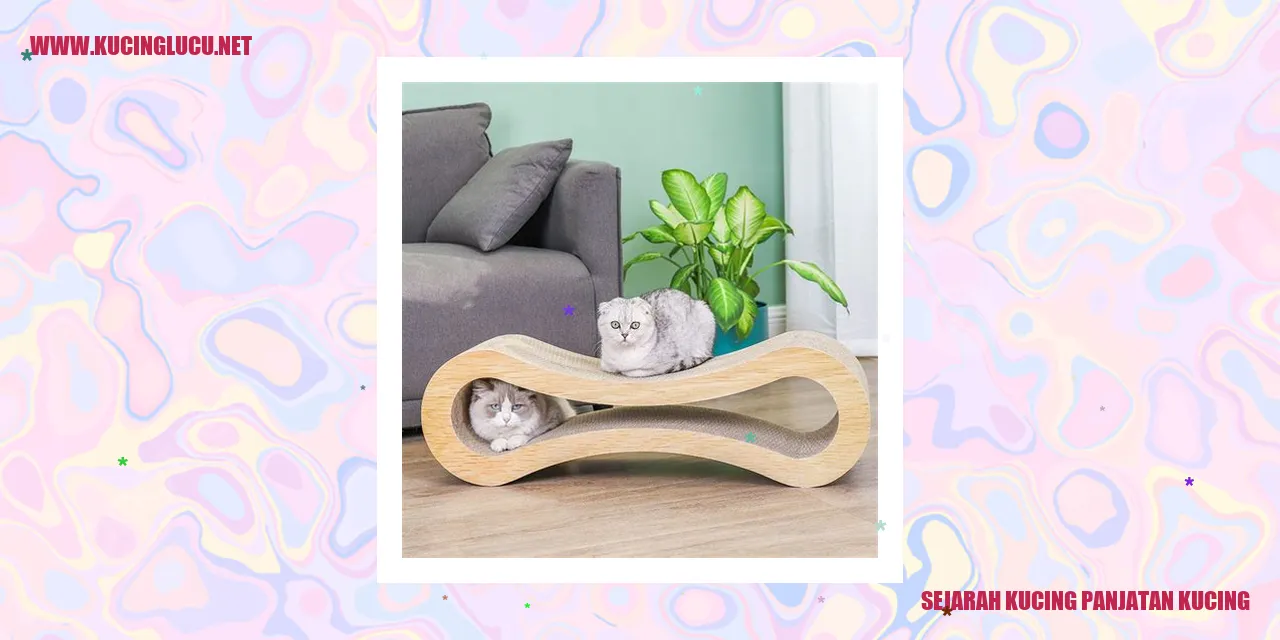 Kucing Panjatan