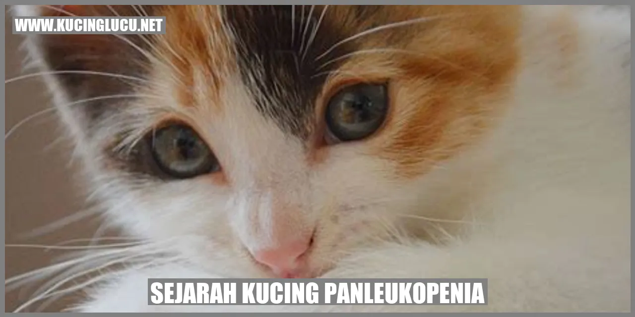 Sejarah Kucing Panleukopenia