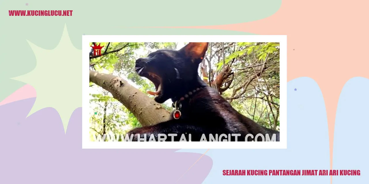 Ilustrasi Kucing
