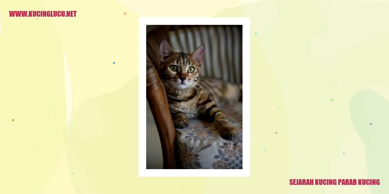 Ilustrasi Kucing