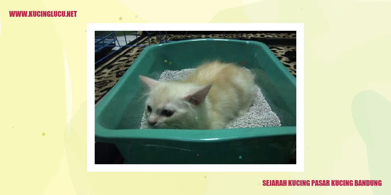 Sejarah Kucing Pasar Kucing Bandung