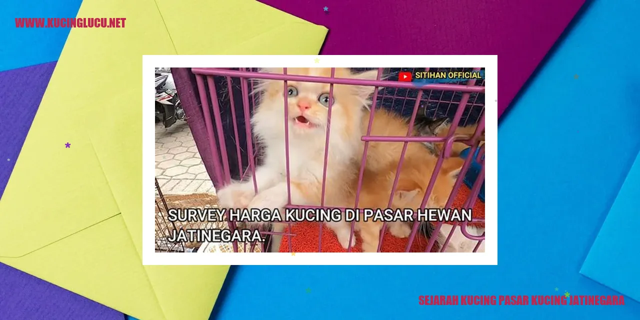 Kucing Pasar Kucing Jatinegara