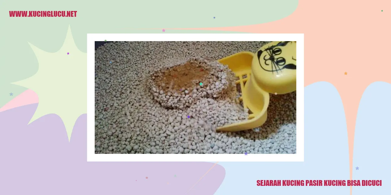 Kucing Pasir yang Bisa Dicuci