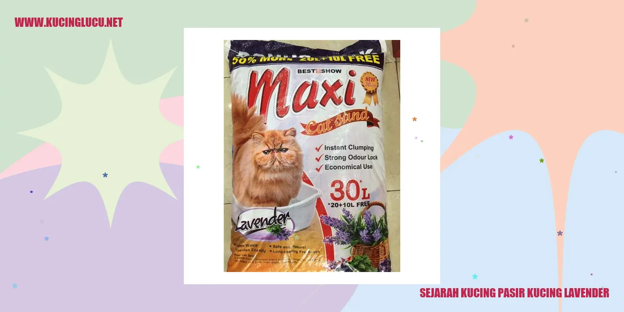Gambar Kucing Pasir Kucing Lavender