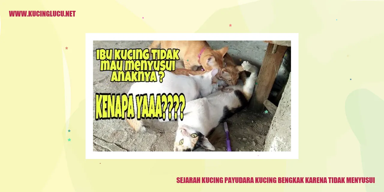 Sejarah Kucing Payudara Bengkak karena Tidak Menyusui
