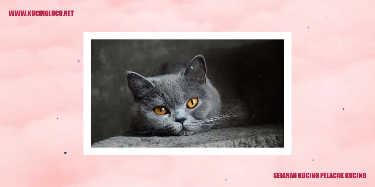 Gambar: Jejak Sejarah Kucing Pengincar