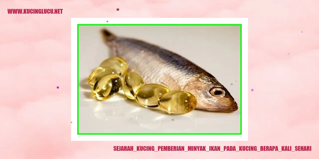 Minyak Ikan untuk Kucing