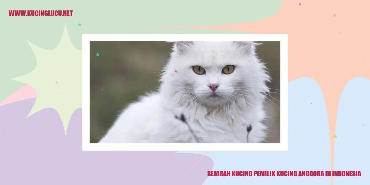 Kucing Anggora
