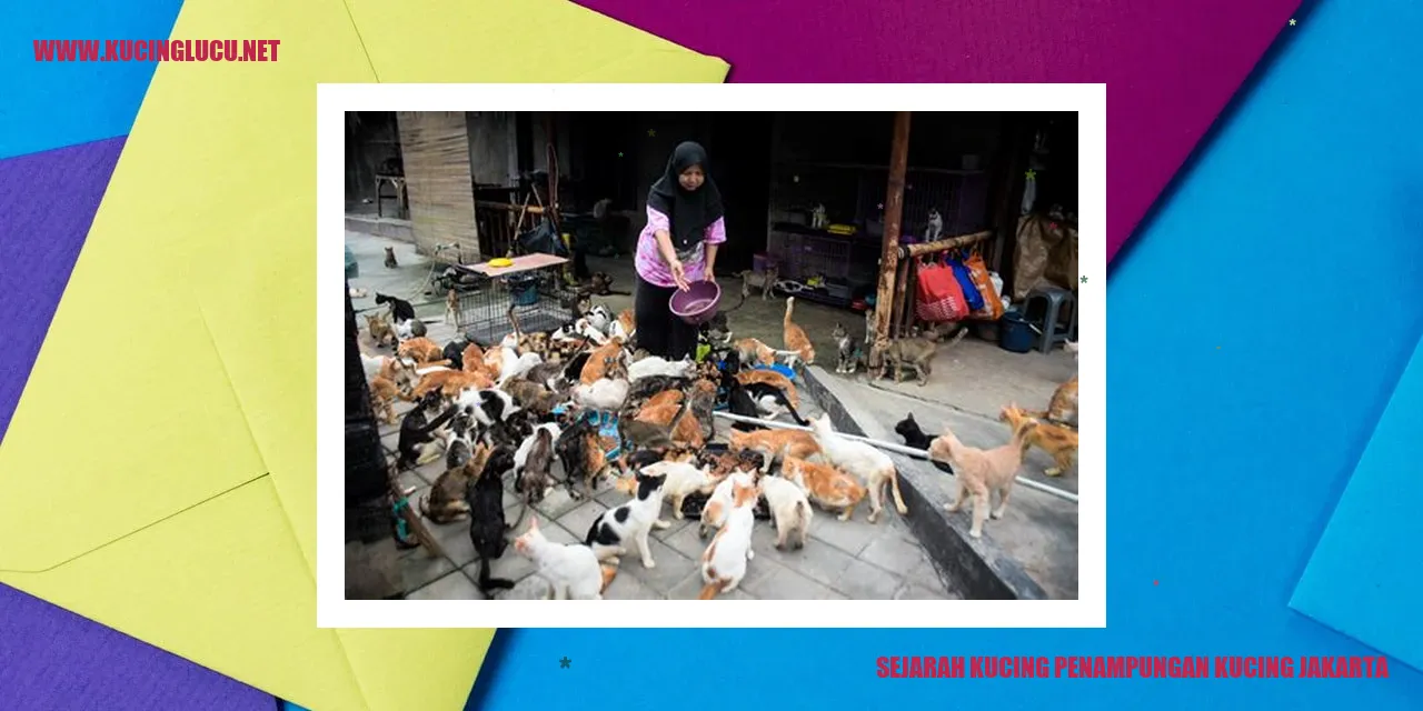 Sejarah Kucing Penampungan Kucing Jakarta