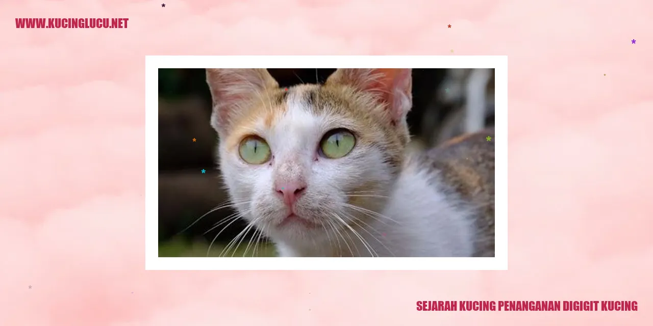 Sejarah Kucing penanganan digigit kucing