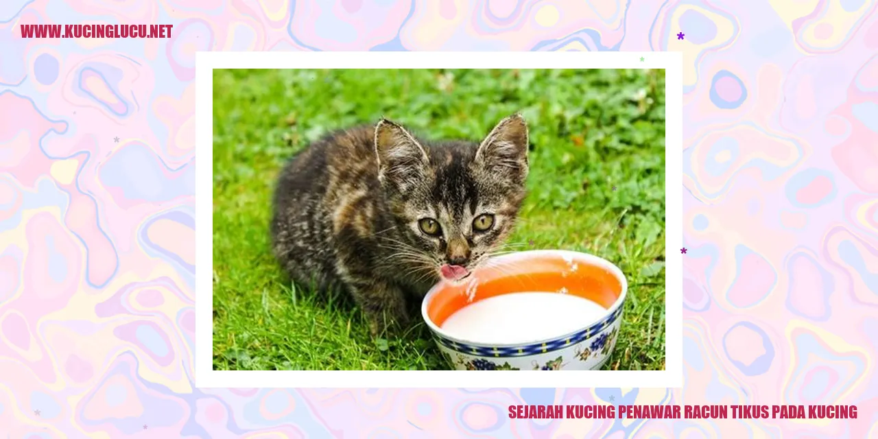 Gambar kucing penawar racun tikus