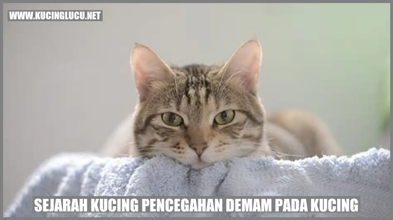 Sejarah Kucing Pencegahan Demam pada Kucing