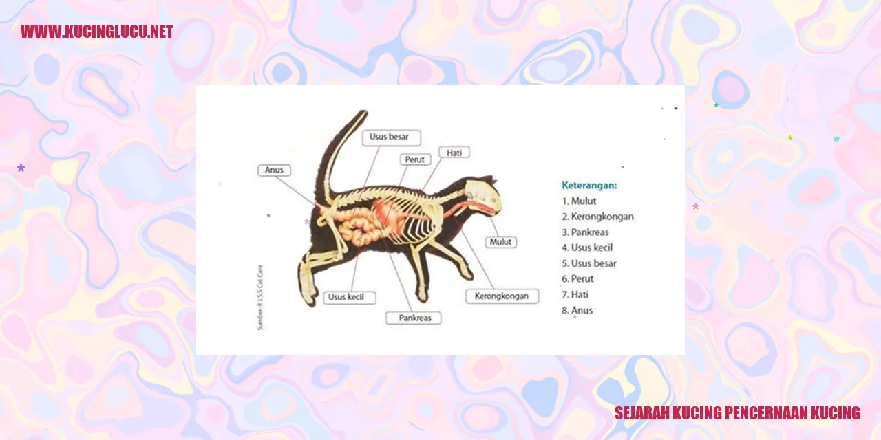 Sejarah Kucing Pencernaan Kucing