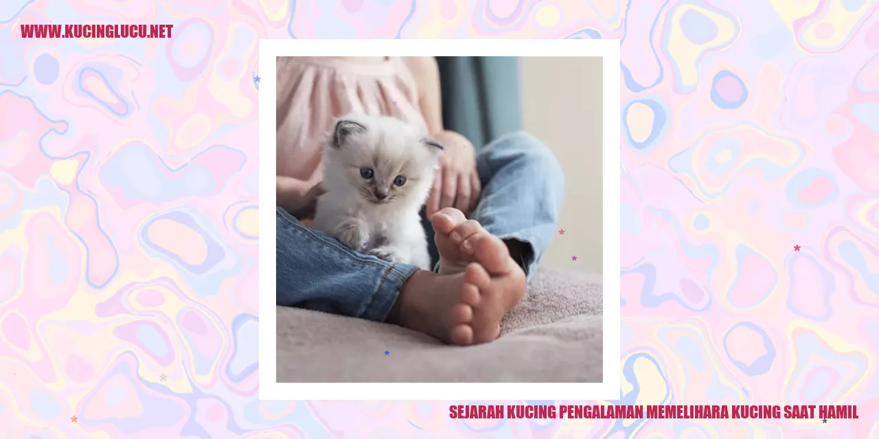 Sejarah Kucing pengalaman memelihara kucing saat hamil