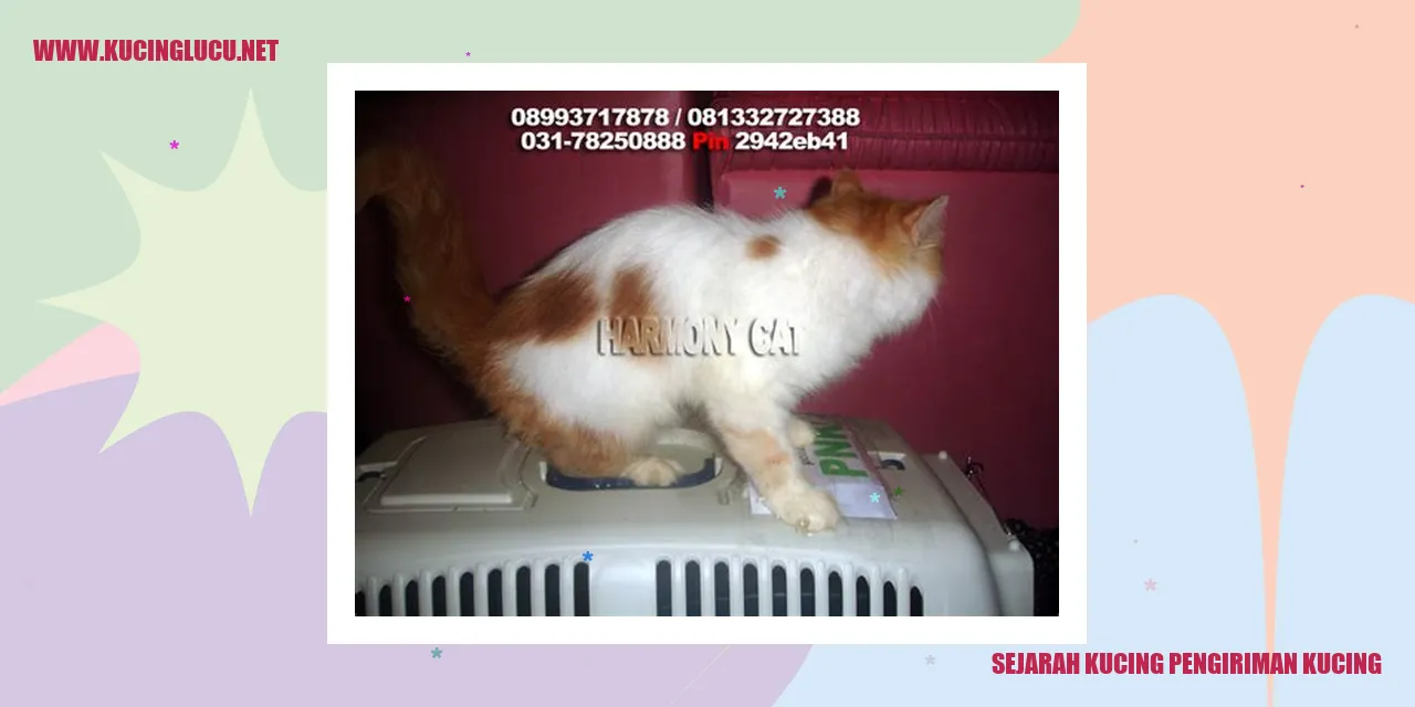 Gambar Kucing