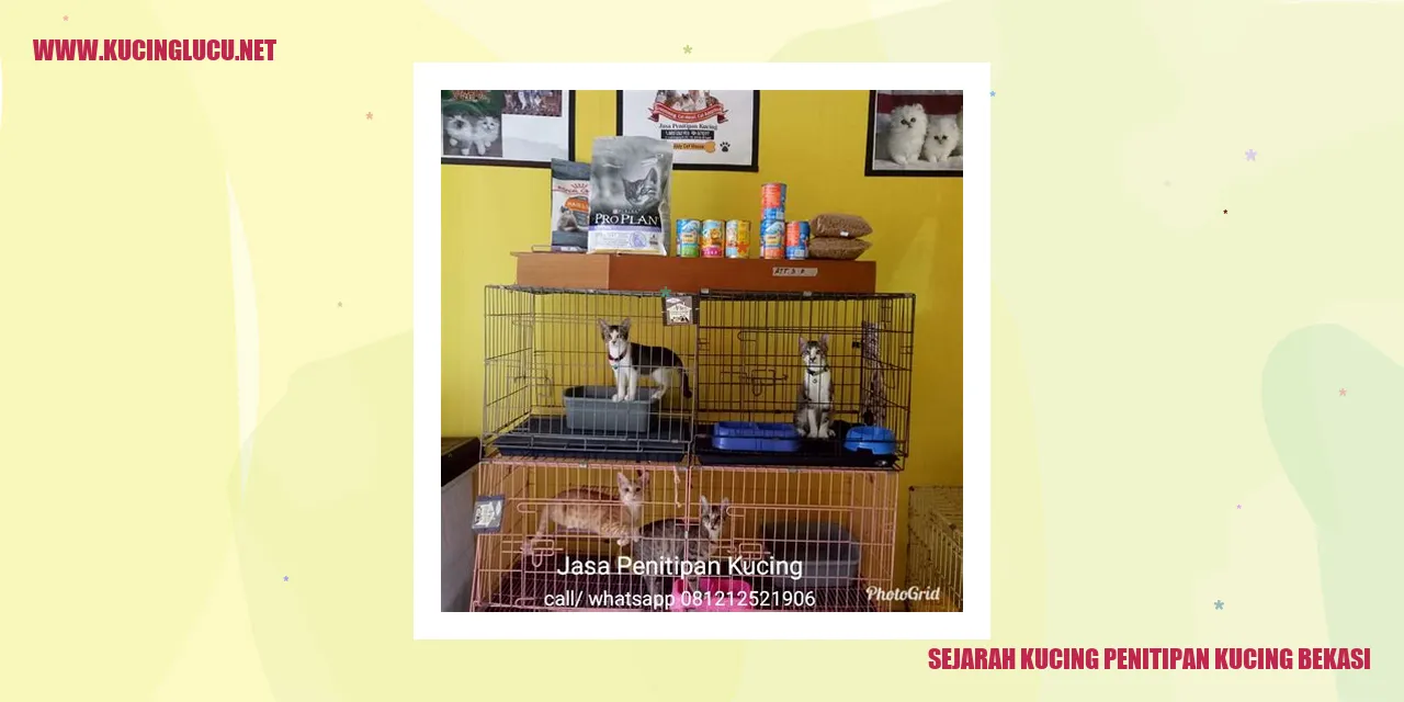 Gambar Sejarah Kucing Penitipan Kucing Bekasi