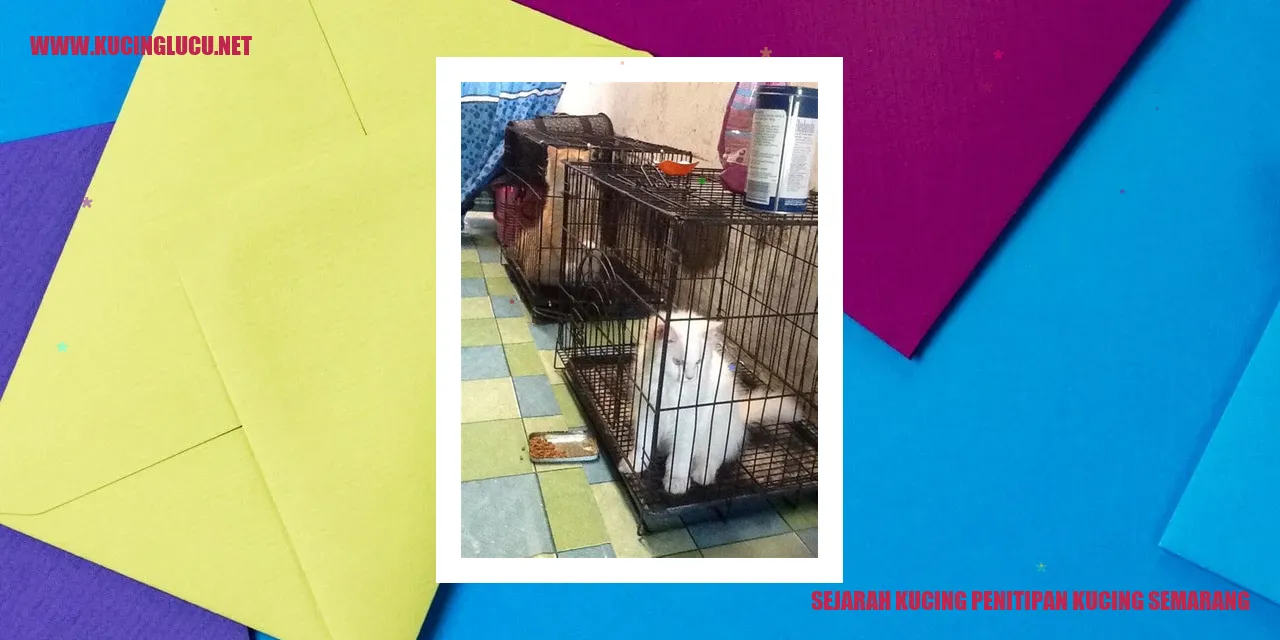 Sejarah Kucing penitipan kucing semarang