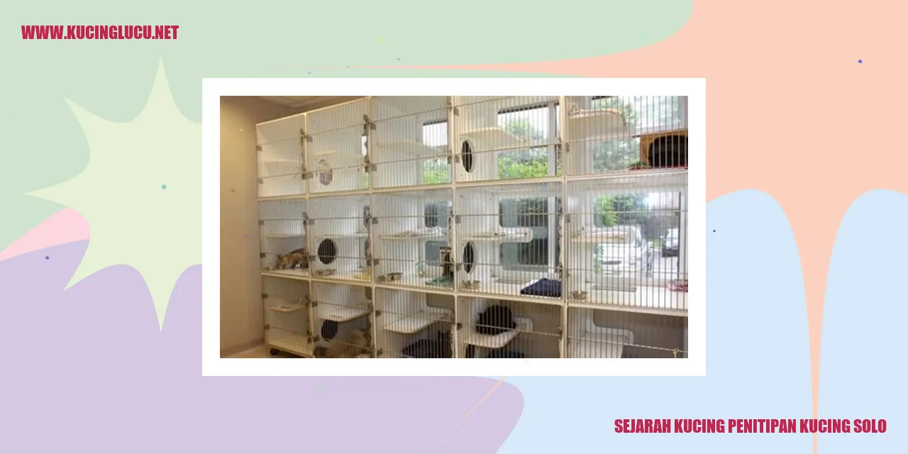 Gambar Kucing Penitipan