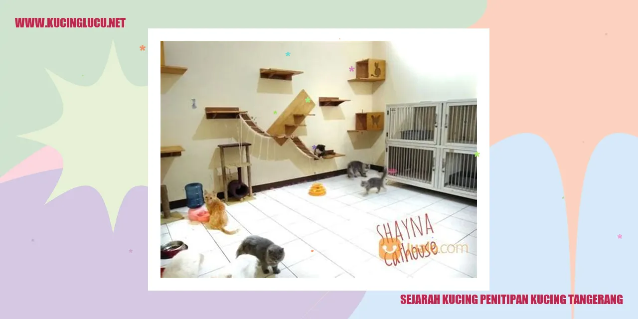 Sejarah Penyimpanan Kucing Tangerang