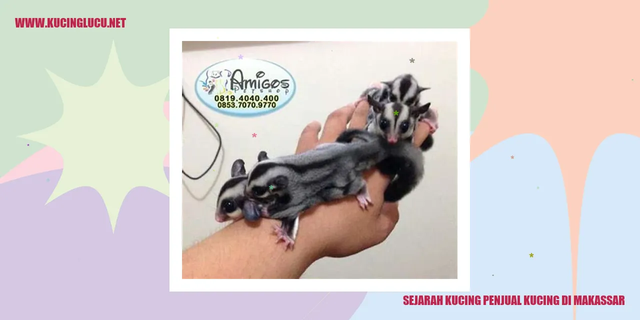 Tampilan Menarik Kucing Dijual di Makassar