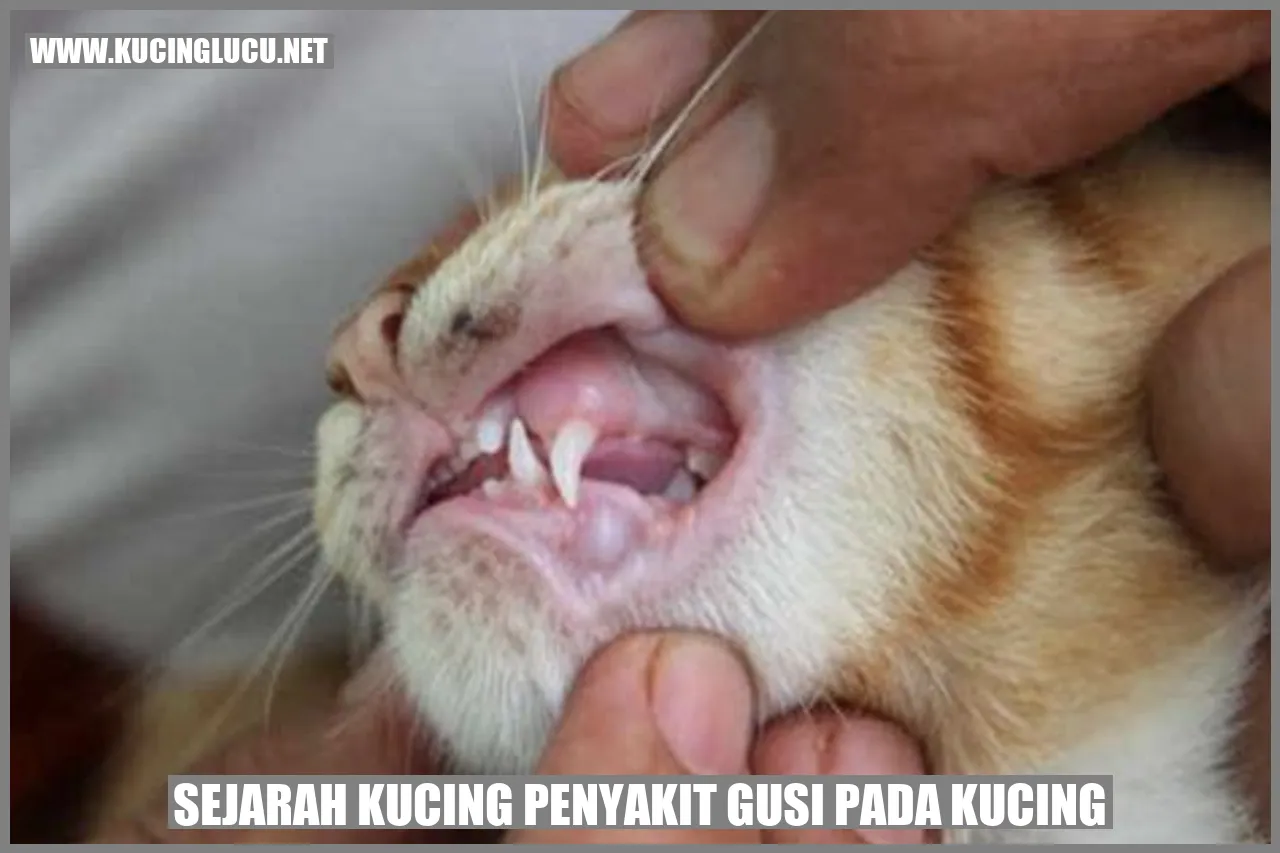 Sejarah Kucing Penyakit Gusi pada Kucing