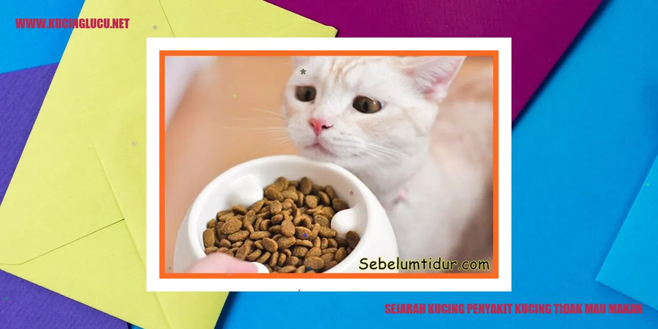 gambar kucing tidak mau makan