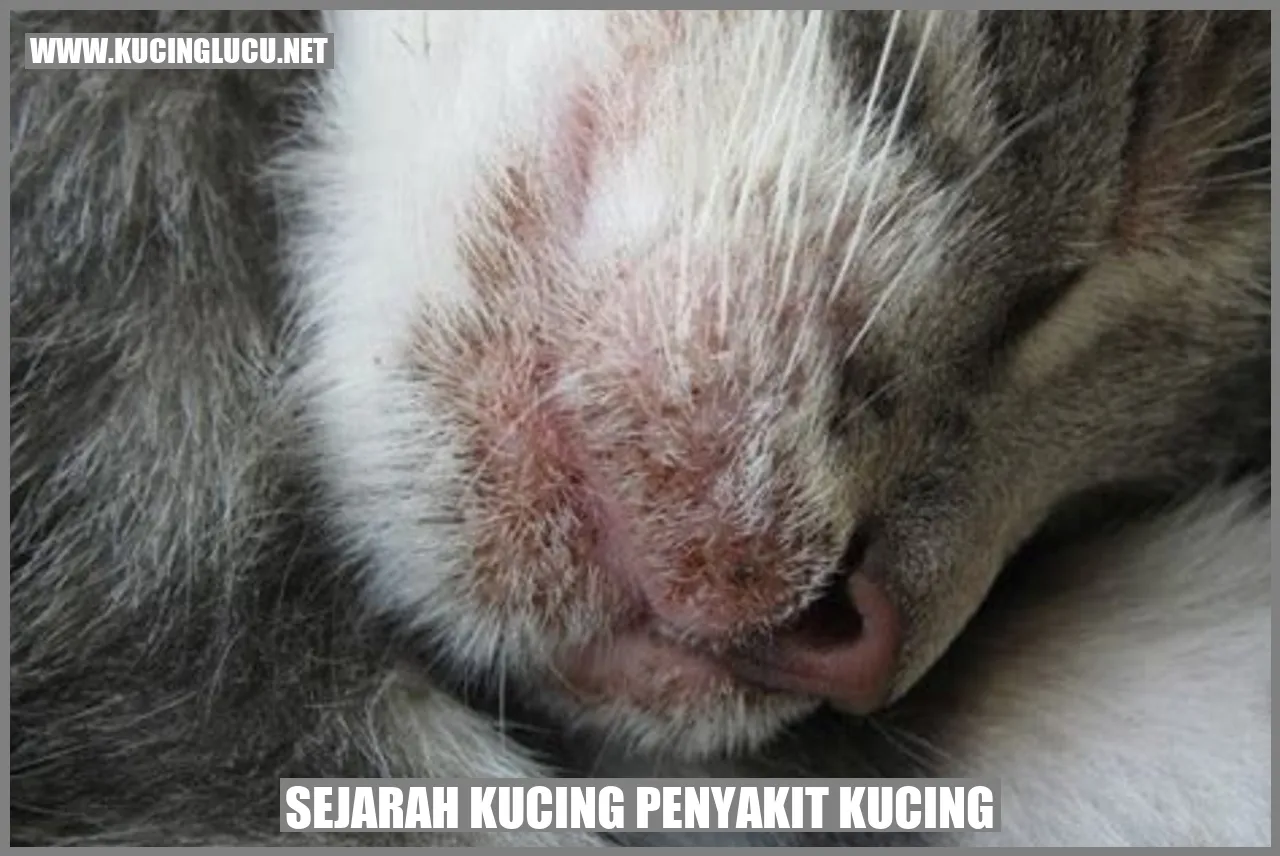 Gambar Sejarah Kucing Penyakit Kucing