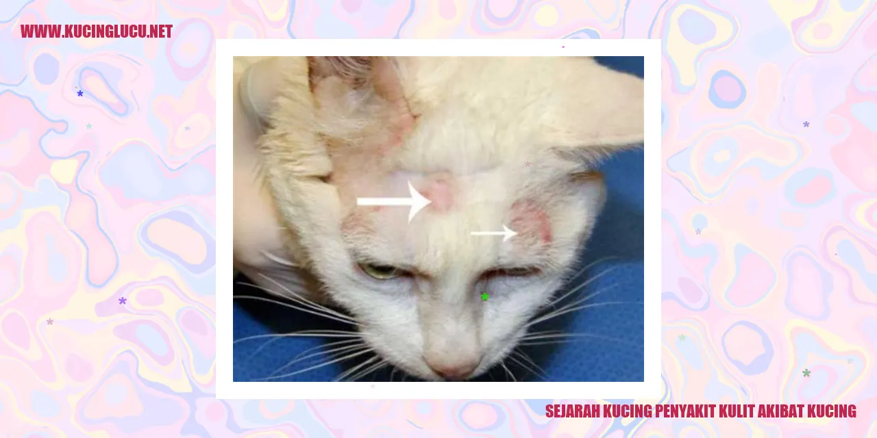 Sejarah Kucing Penyakit Kulit Akibat Kucing