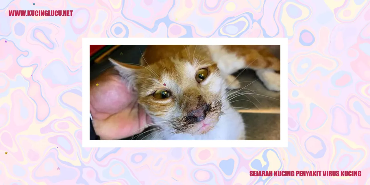 Gambar Kucing