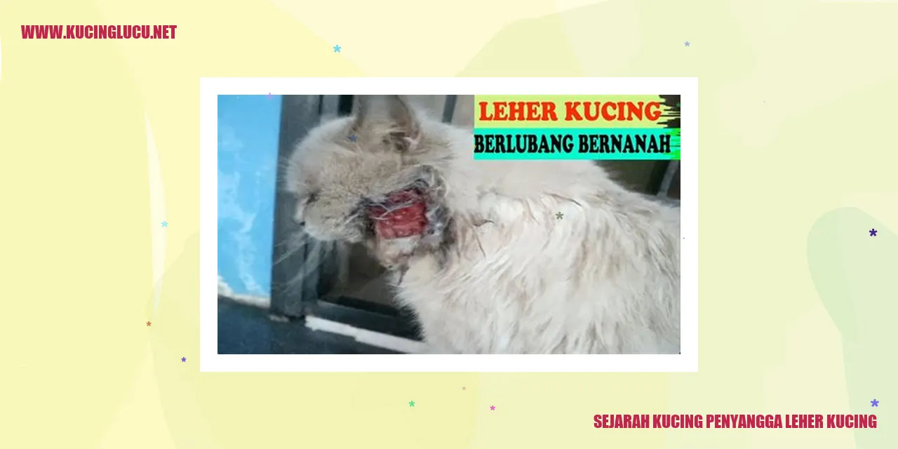 Gambar Kucing Pelengkap Leher Kucing
