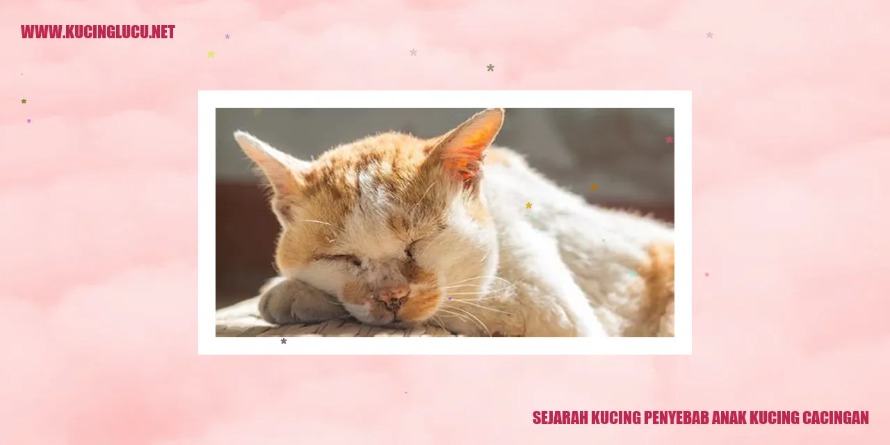 Sejarah kucing penyebab anak kucing cacingan