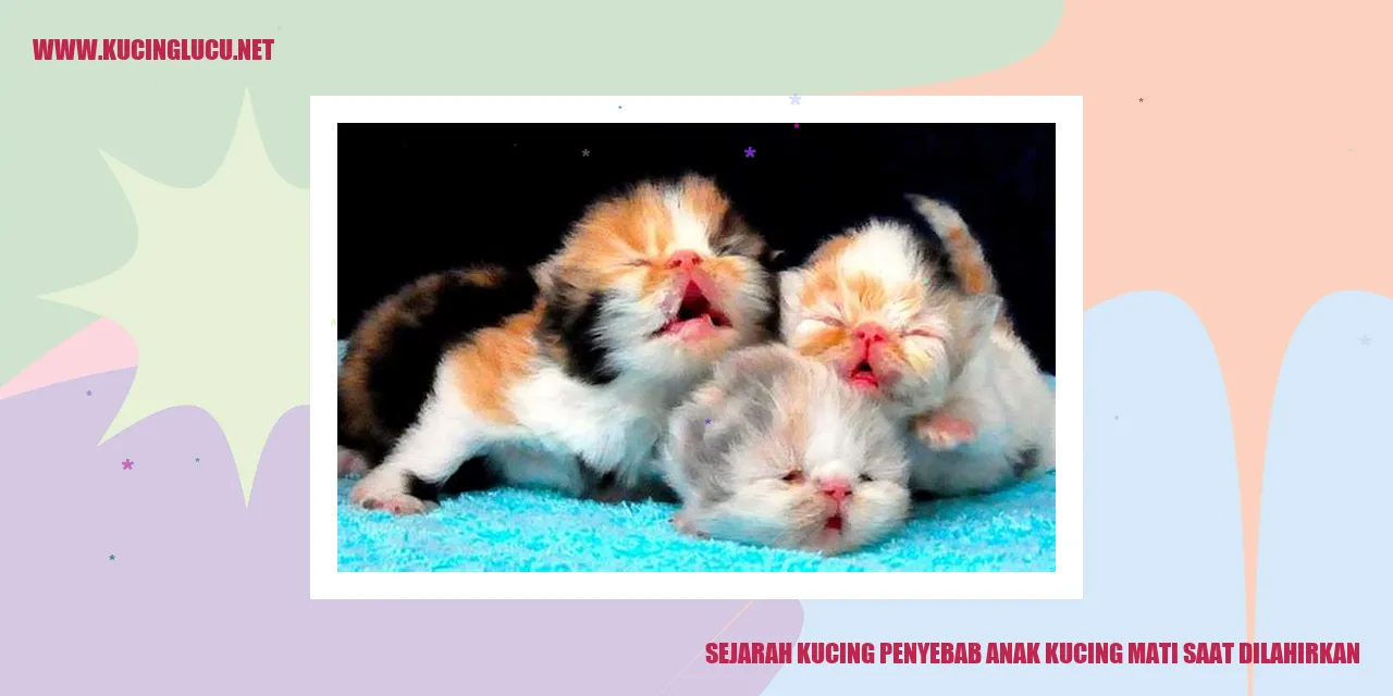 Ilustrasi Kucing