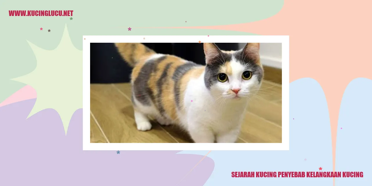 Tingkah Laku Kucing