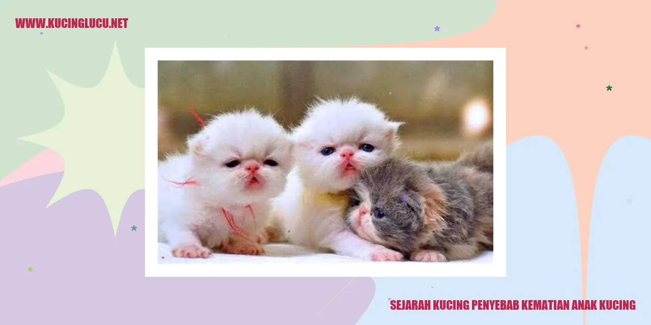 Ilustrasi Kucing