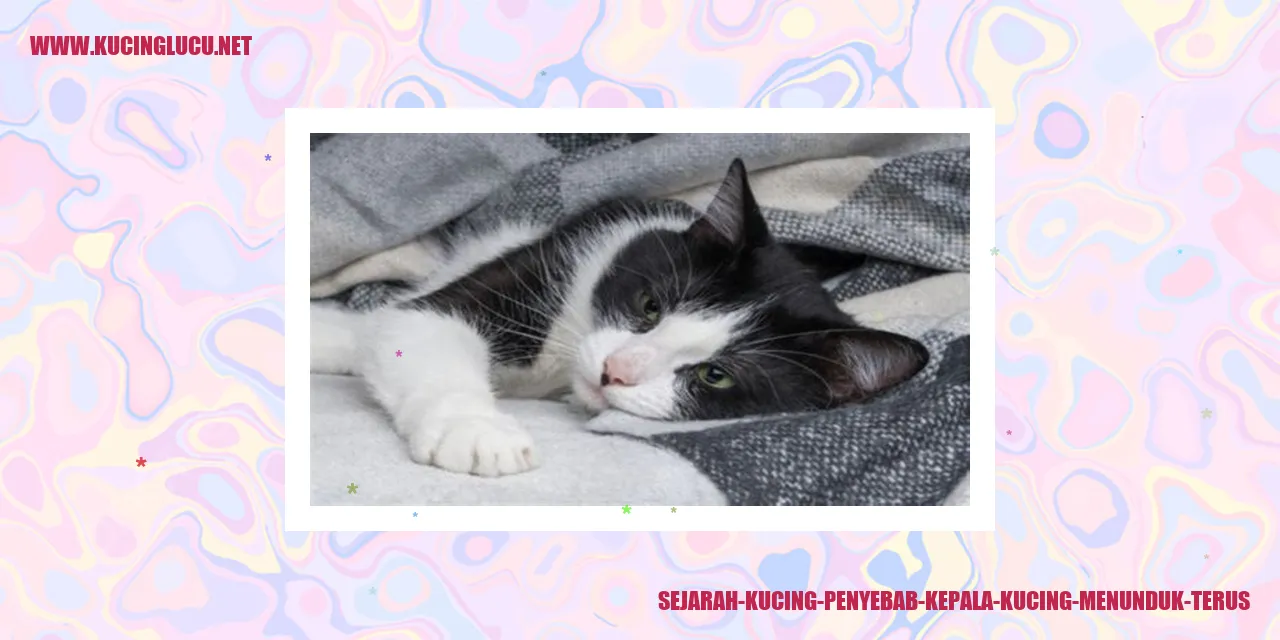 Keanehan Kucing yang Sering Menundukkan Kepala