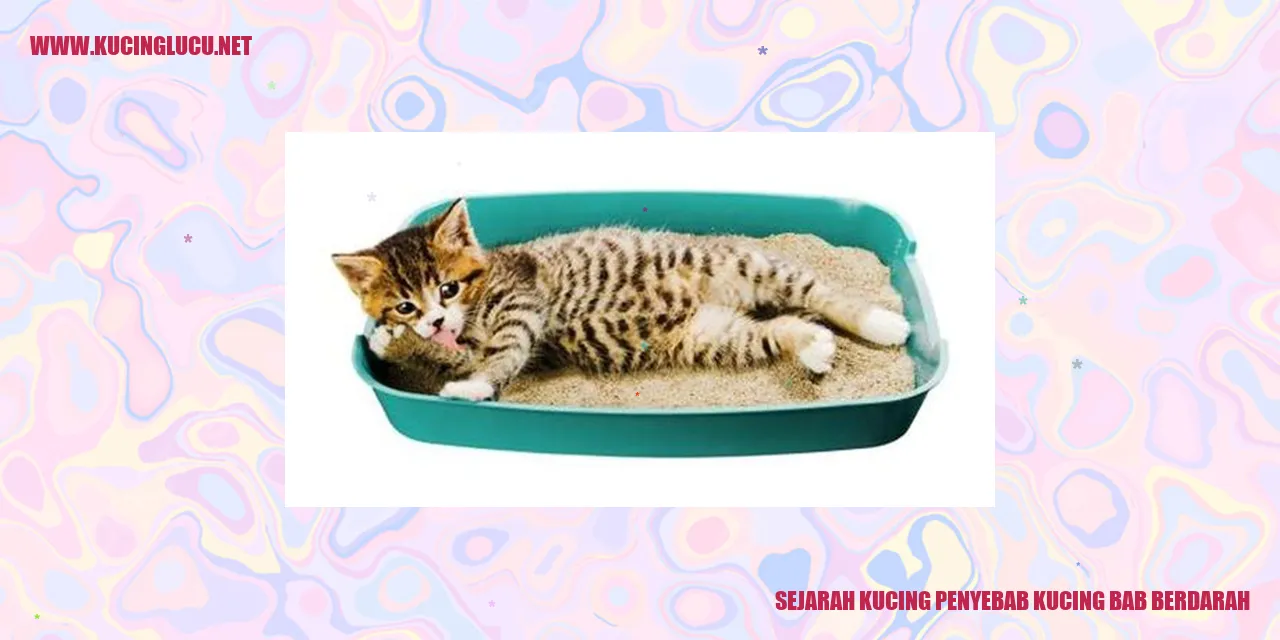 Sejarah Kucing Penyebab Kucing Bab Berdarah