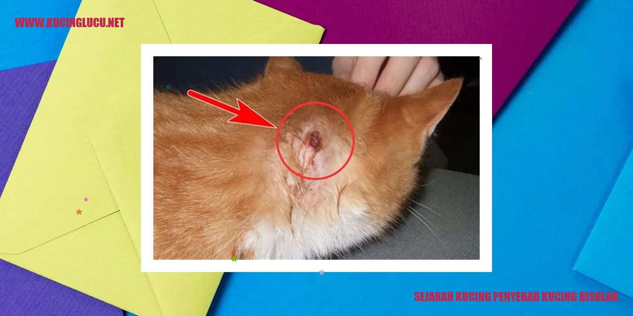 Gambar kucing merah sedang tidur di rumput