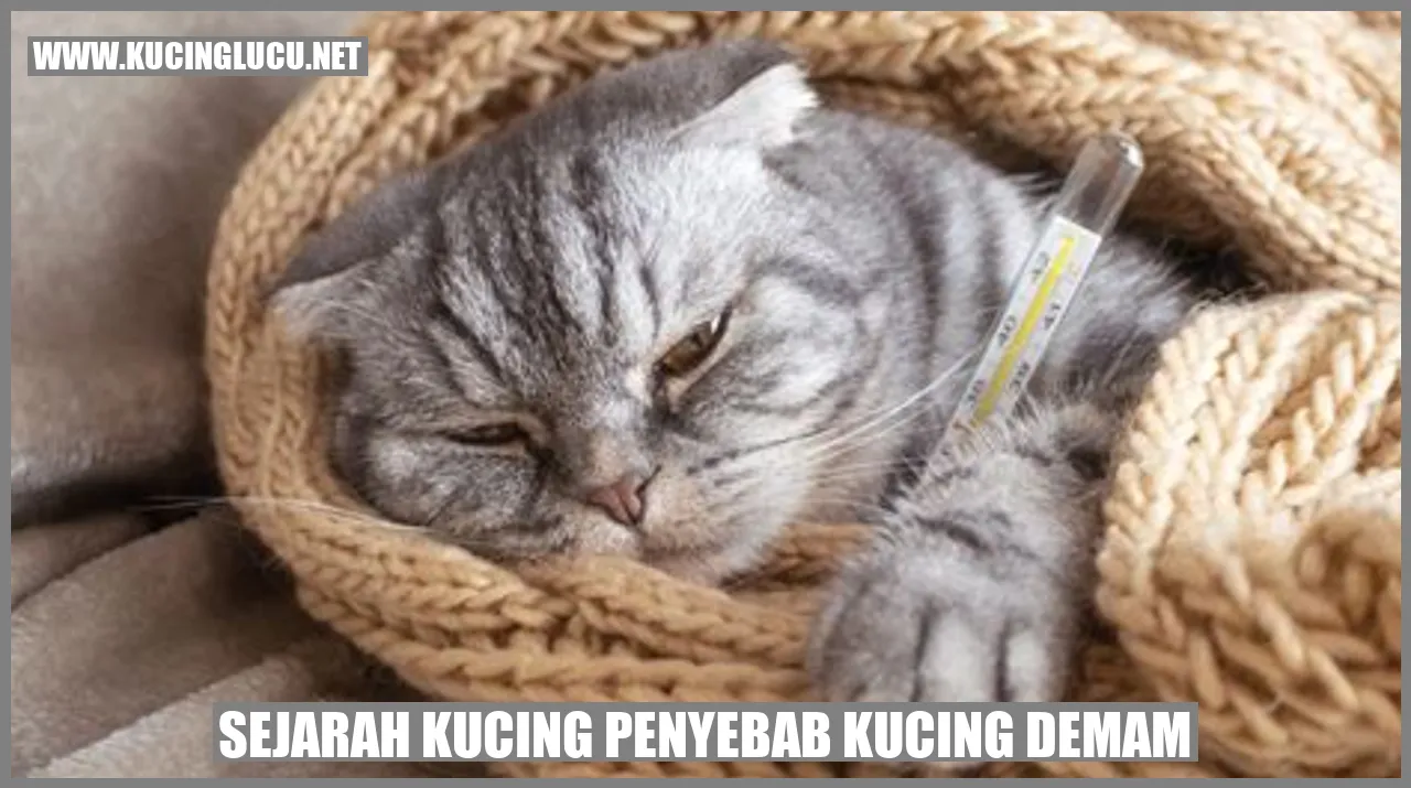 kucing penyebab kucing demam