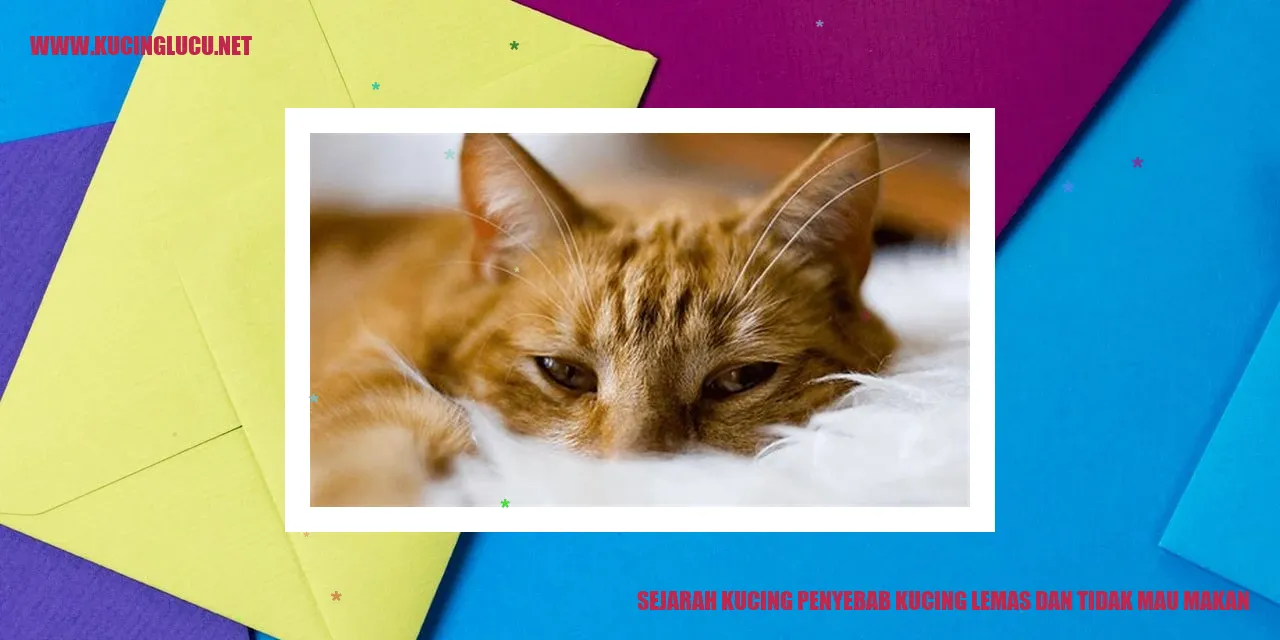 Sejarah Kucing Penyebab Kucing Lemas dan Tidak Mau Makan