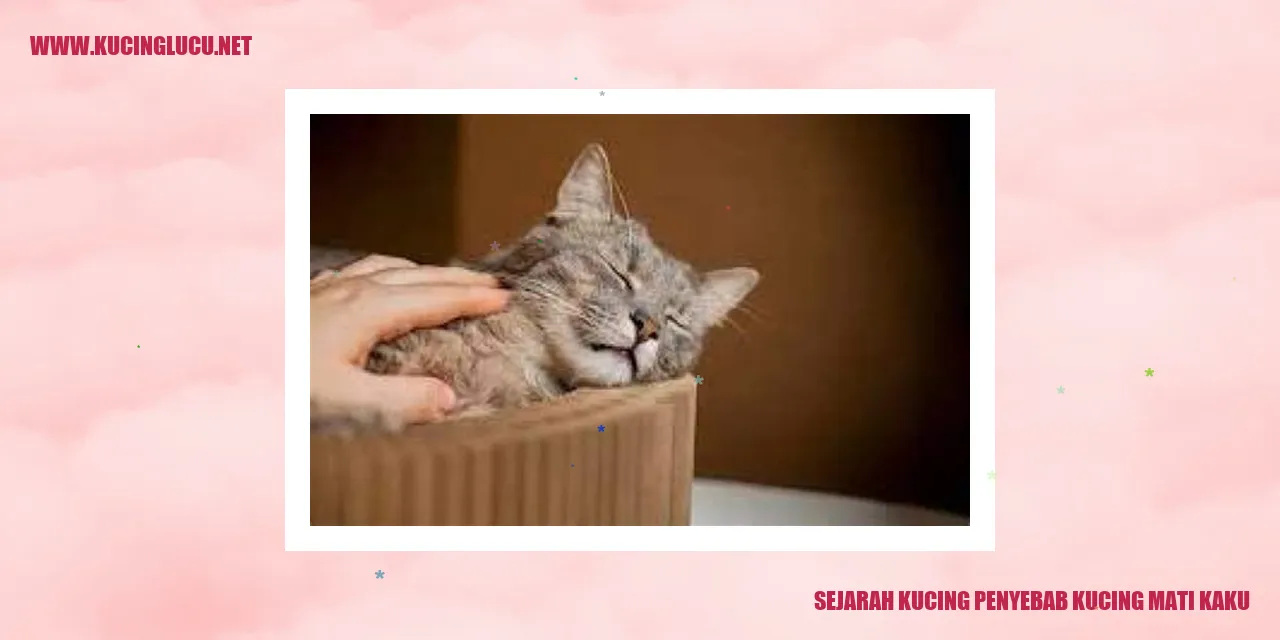 Ilustrasi Kucing Mati Kaku