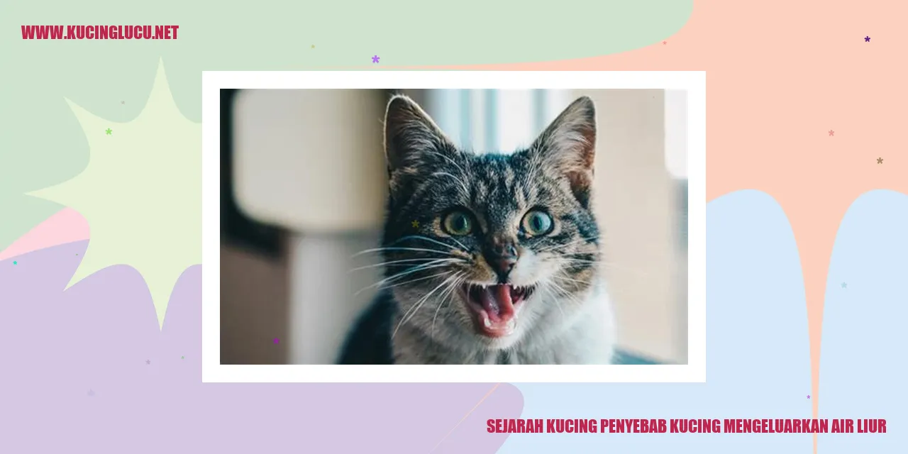 Gambar kucing