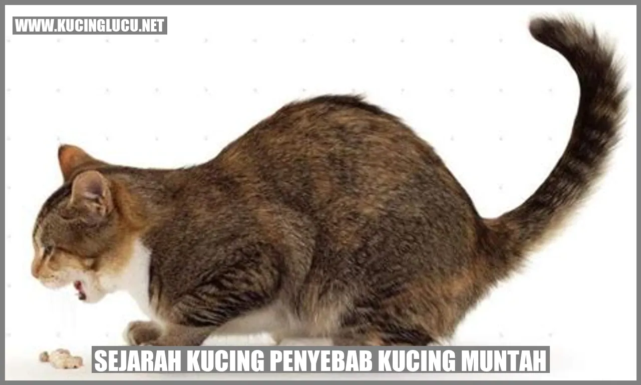 Gambar: Sejarah kucing penyebab kucing muntah