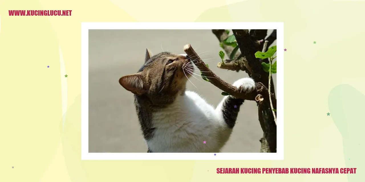 Sejarah Kucing penyebab kucing nafasnya cepat
