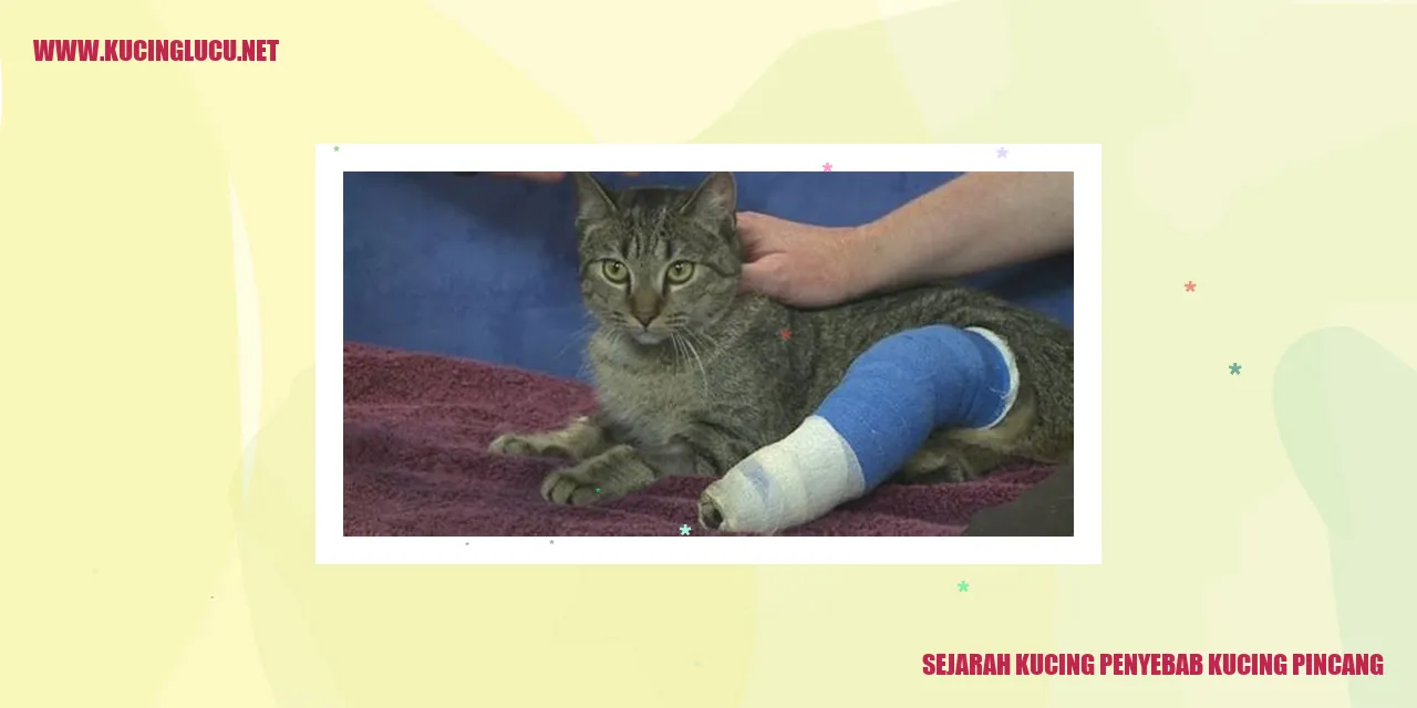 Sejarah Kucing penyebab kucing pincang