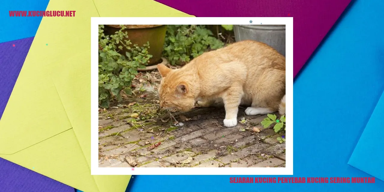 Gambar Kucing