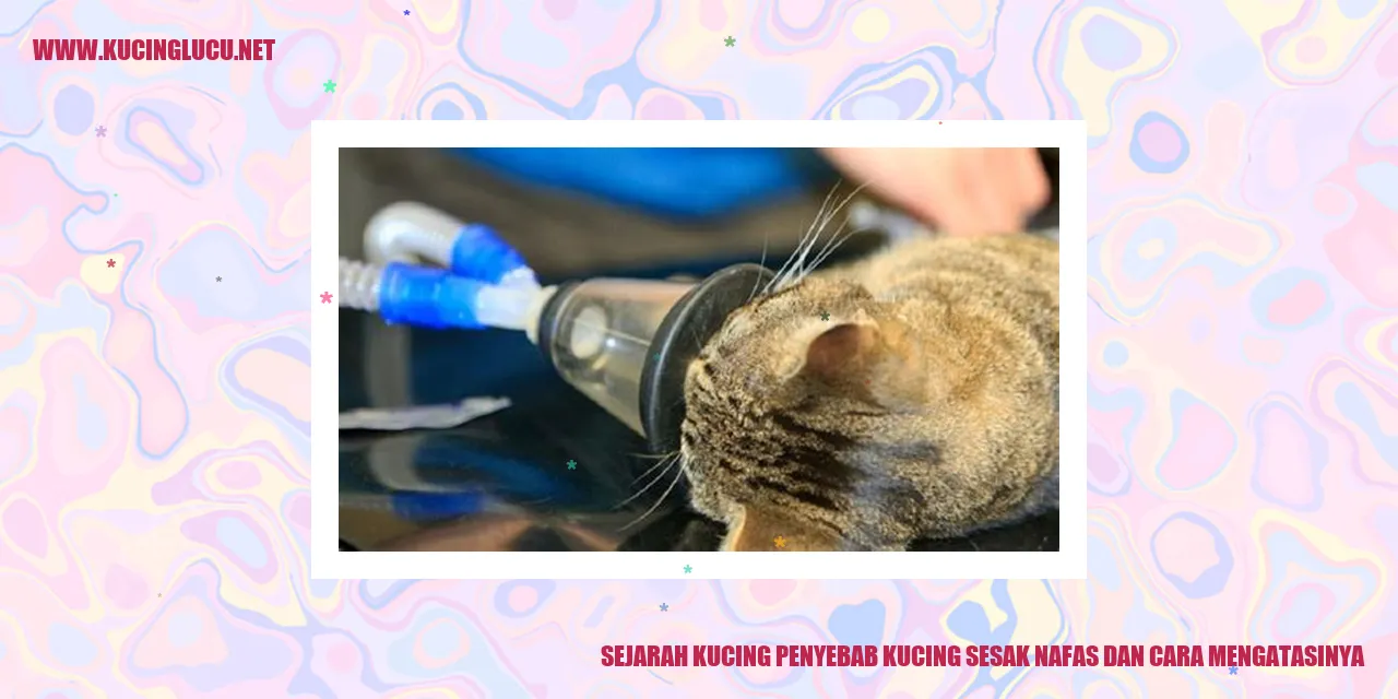 Kucing sesak nafas